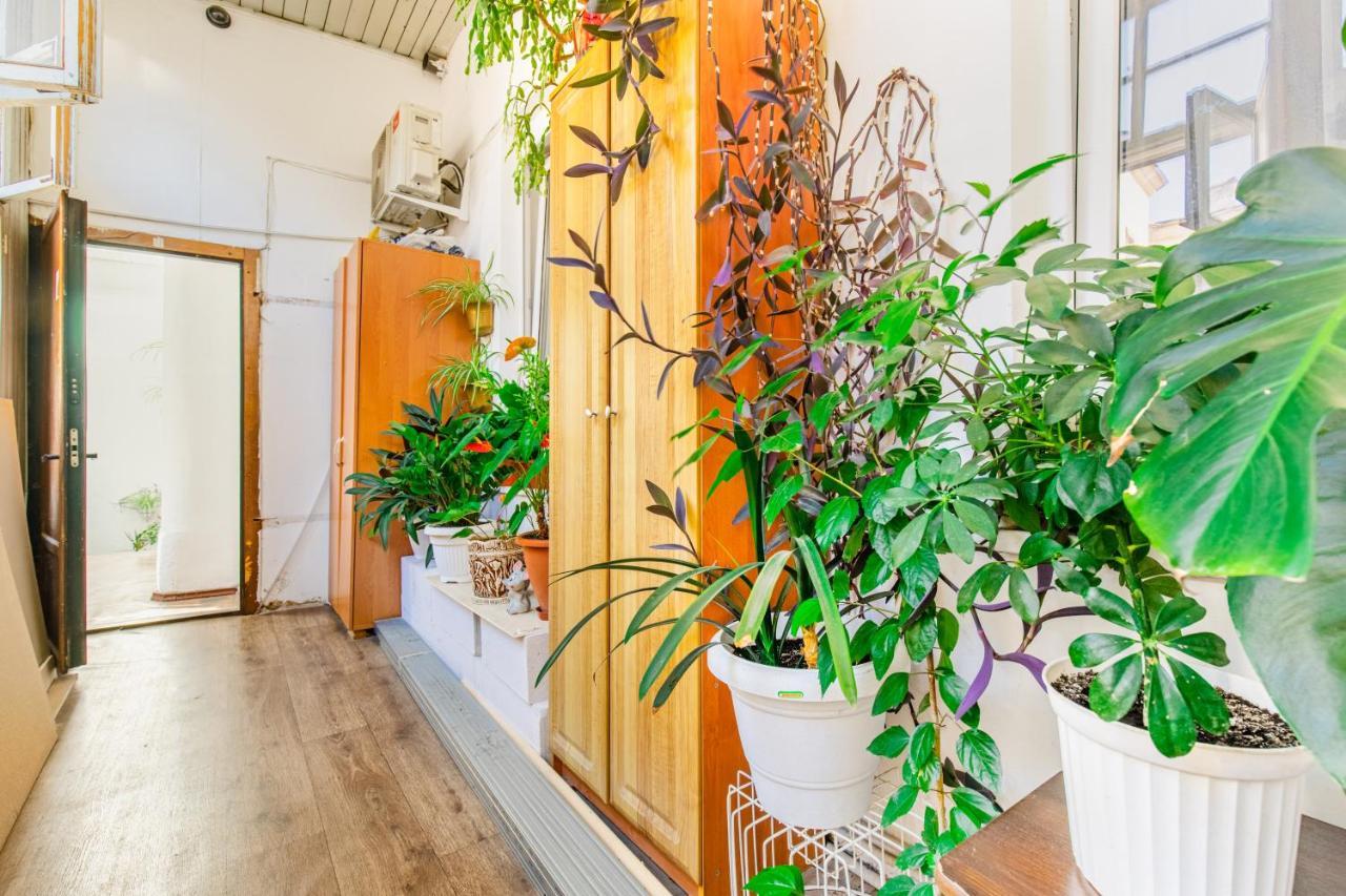 Best Apartment In The City Centre Odessa Extérieur photo